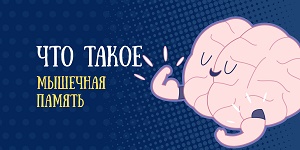 Мышечная память
